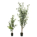 Árbol eucalipto 120 y 180 cm