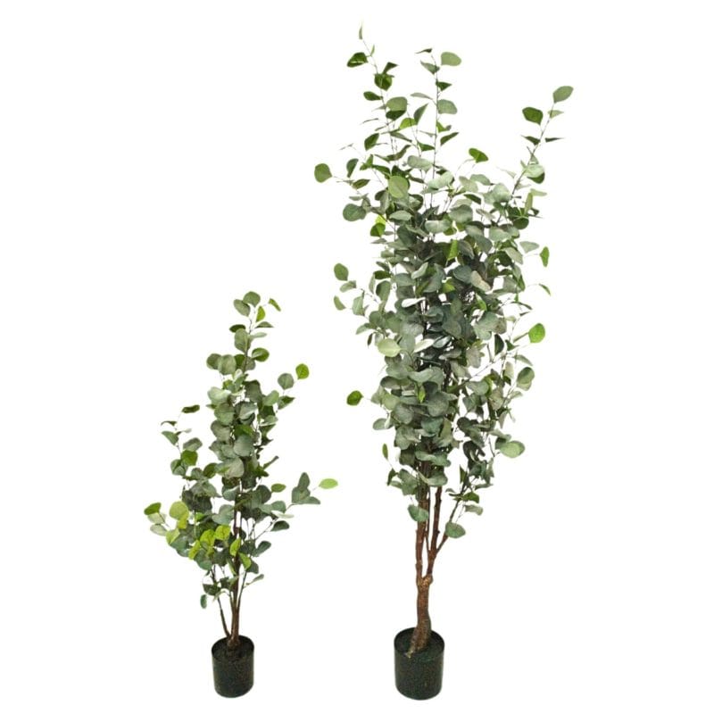 Árbol eucalipto 120 y 180 cm