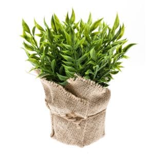 Mini arbusto ruscus artificial