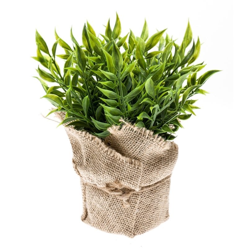 Mini arbusto ruscus artificial
