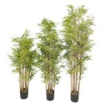 Bambú deluxe 155, 185 y 215 cm