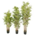 Bambu Deluxe 155, 185 e 215 cm