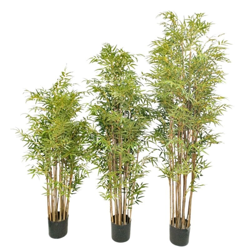 Bambú deluxe 155, 185 y 215 cm