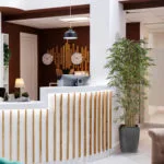 Decoración bambú premium