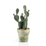 Cactus Plano 20 cm Cactus plano artificial