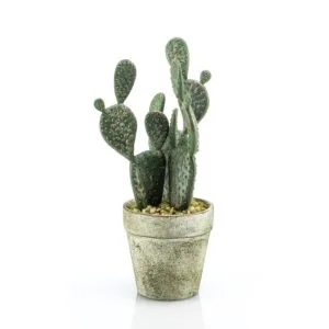 Cactus plano artificial