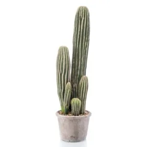 Pianta artificiale di cactus San Pedro 57 cm