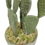 Cactus plano 20 cm tronco Detalles cactus plano artificial