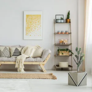 Decoración cactus sabra artificial