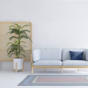 Decoración con palmera premium