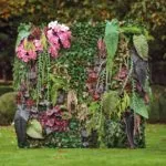 Decoración con hoja de anthurium