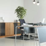 Dekoration mit hochwertigem Ficus