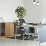 Decoración con ficus premium