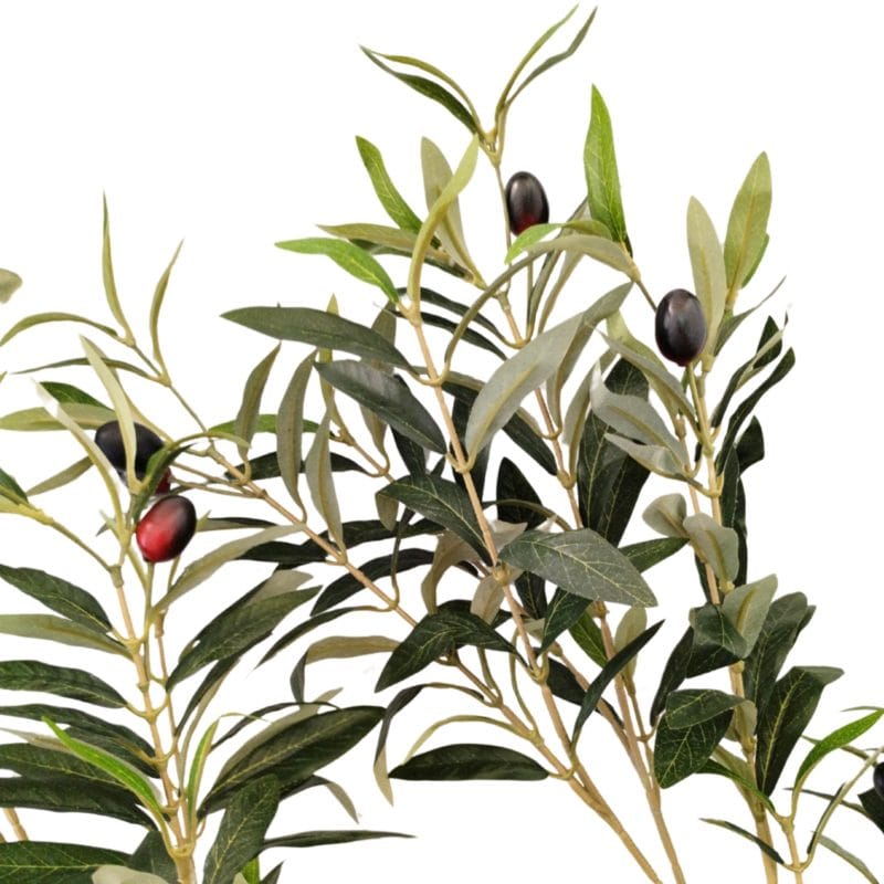 Hojas y ramas artificiales árbol olivo