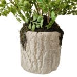 Vaso di felce artificiale adiantum 