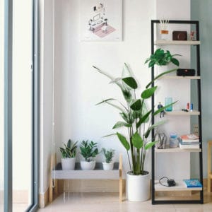 Decoración con planta artificial heliconia