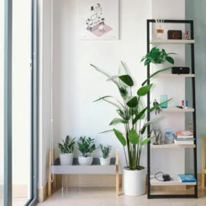 Decoración con planta artificial heliconia