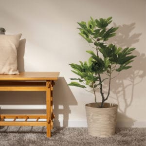 Decoración con planta artificial higuera