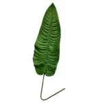 Hoja de anturio artificial