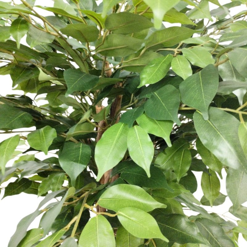 Hojas ficus eco artificial