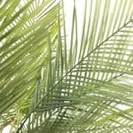 Artificial palm tree leaves