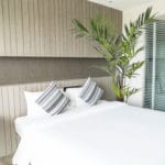 Decoración con Kentia Maxi artificial