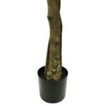 Maceta y tronco magnolia