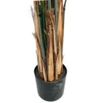 Maceta y troncos de la Kentia Maxi