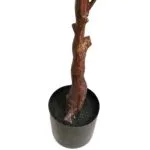 Maceta árbol eucalyptus Maceta árbol eucalipto