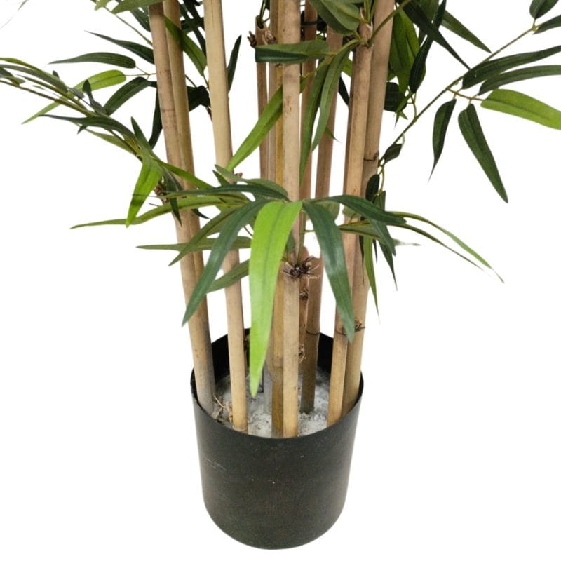 Maceta bambú premium