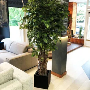 Vaso decorativo quadrato nero