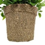 Maceta mini rosal artificial