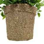 Maceta mini rosal artificial