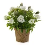 Mini rosal artificial