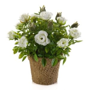 Mini rosal artificial