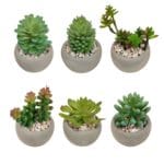 mini artificial succulents