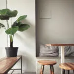 Decoração com planta artificial de palmeira de licor