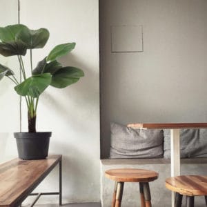 Decoración con planta artificial palmera licuala