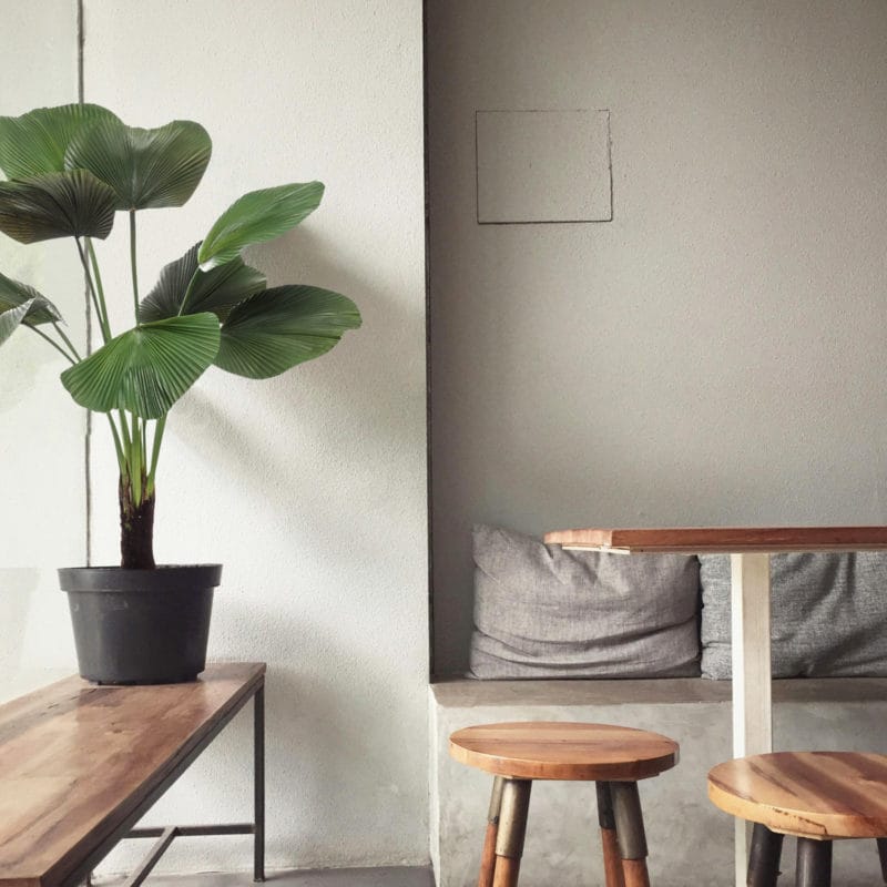 Decoración con planta artificial palmera licuala
