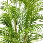 Hojas palmera artificial style 180 cm
