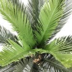 Planta artificial palmera cyca ramas