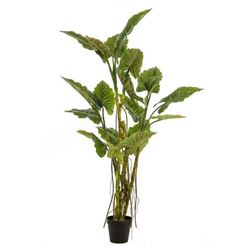 Planta artificial alocasia