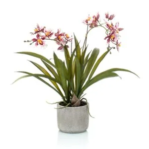 Planta artificial mini oncidio