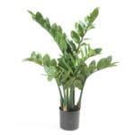 Planta artificial zamioculca