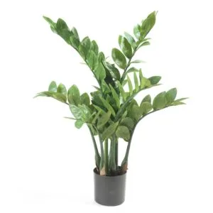 Pianta artificiale zamioculca