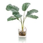 Planta artificial Calatea 35 cm