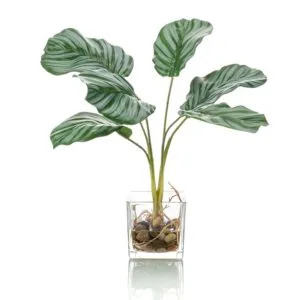 Planta artificial Calatea 35 cm