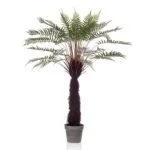 plante Dicksonia Palmier artificiel Dicksonia