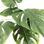Künstliche monstera -Blätter