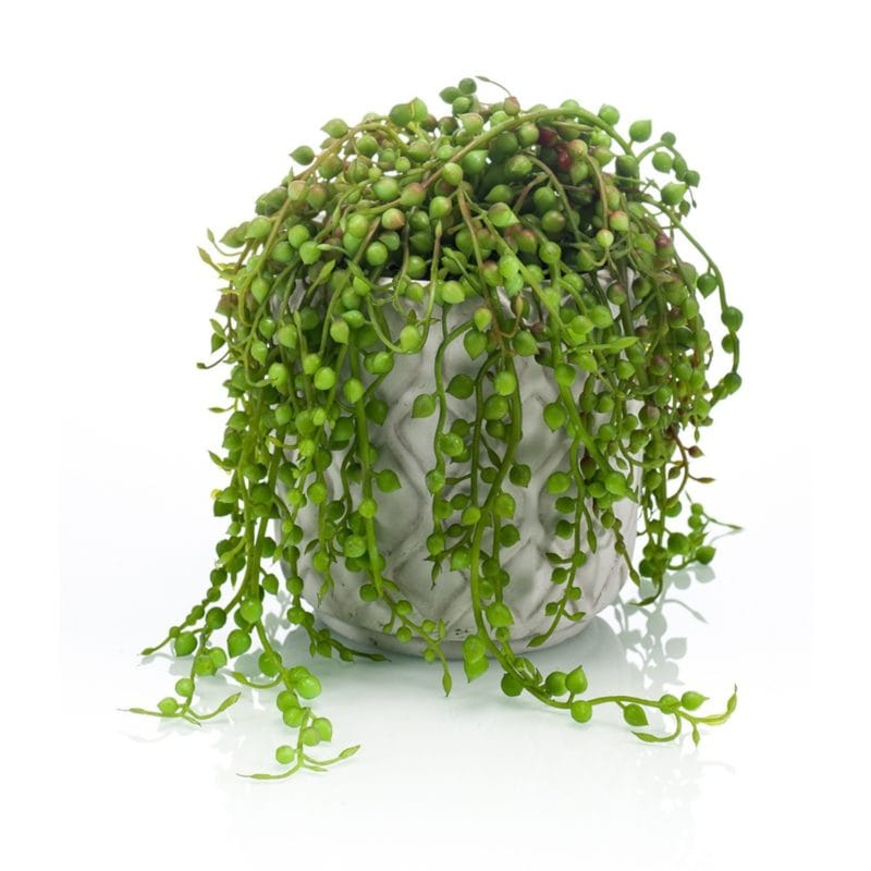Planta artificial de senécio